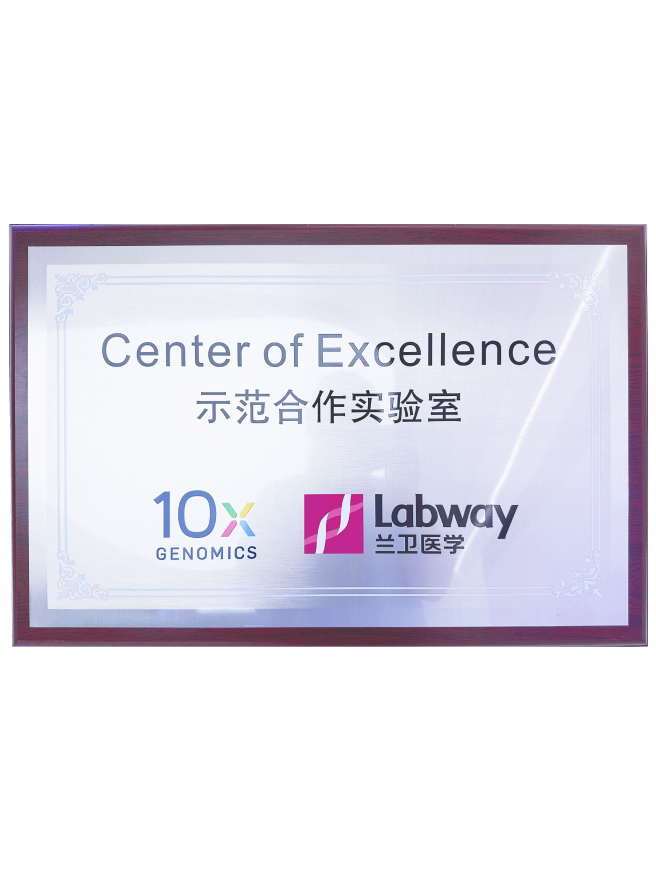 03 OB视讯与10X示范合作尝试室.png